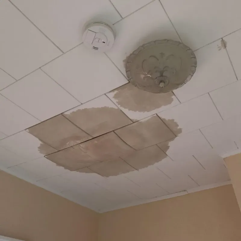 Ceiling Water Damage Repair in Yorba Linda, CA